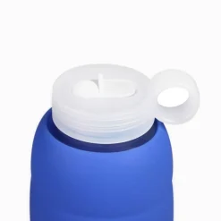 Bink Flip Cap