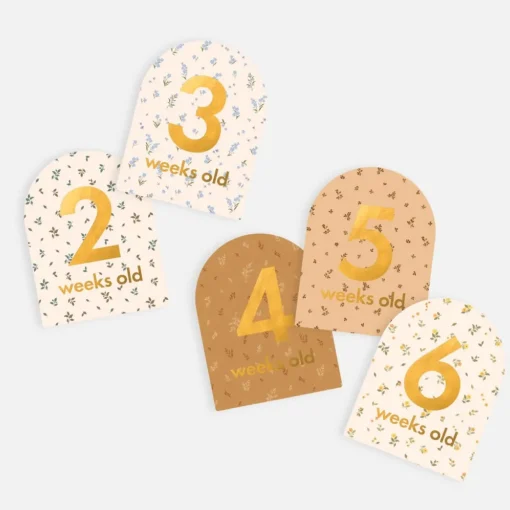 Fox & Fallow Baby Milestone Cards