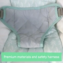 Ingenuity Cozy Spot Soothing Baby Bouncer