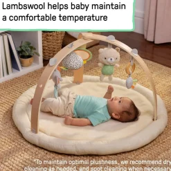Ingenuity Every Season Plush Lambswool Activity Gym
