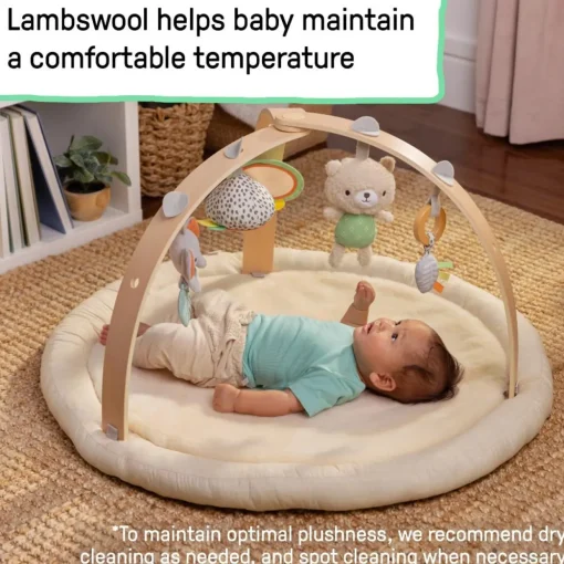 Ingenuity Every Season Plush Lambswool Activity Gym