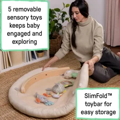 Ingenuity Every Season Plush Lambswool Activity Gym