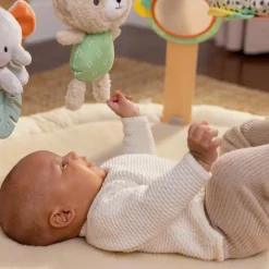 Ingenuity Every Season Plush Lambswool Activity Gym