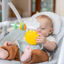 ity by Ingenuity Sun Valley Milestone Baby Swing