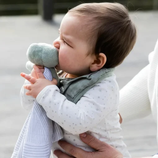 Little Bamboo - Muslin Bib 2 Pack
