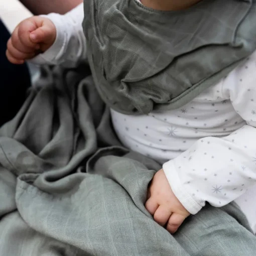 Little Bamboo - Muslin Bib 2 Pack