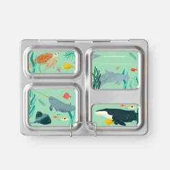 PlanetBox Launch Magnets