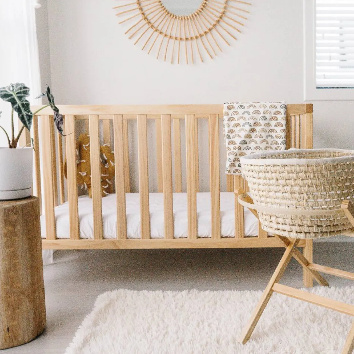 The Sleep Store - Frank Cot