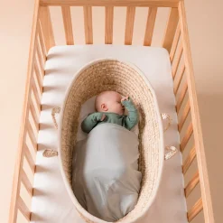 The Sleep Store - Frank Cot