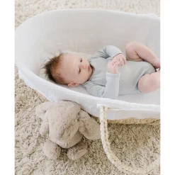 The Sleep Store Moses Basket with Waffle Liner
