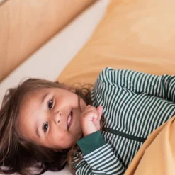 Toddler Cot Size Wool Pillow with Pillowcase